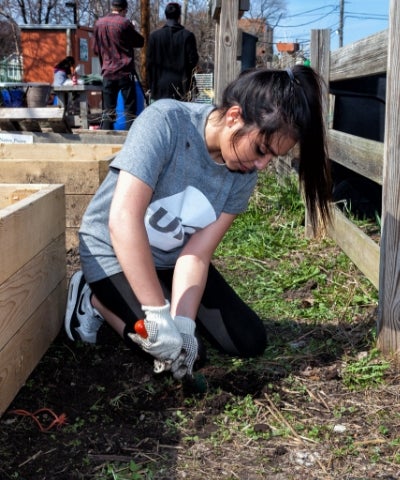 female student planting in UIC community garden